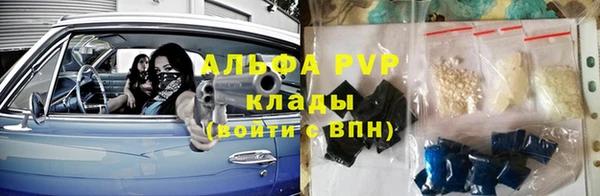 скорость Новозыбков