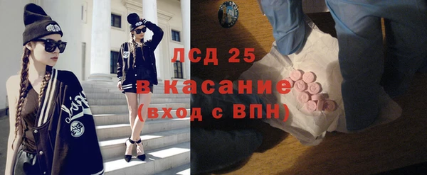 твердый Новодвинск