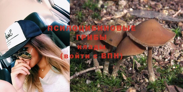 скорость Новозыбков