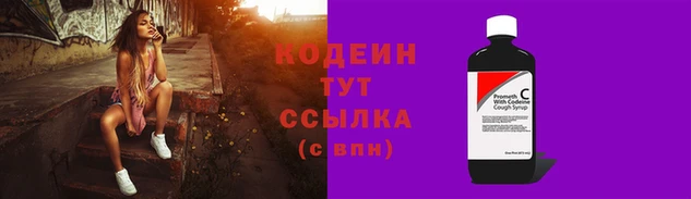 скорость Новозыбков
