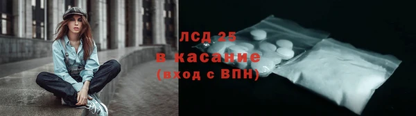 твердый Новодвинск