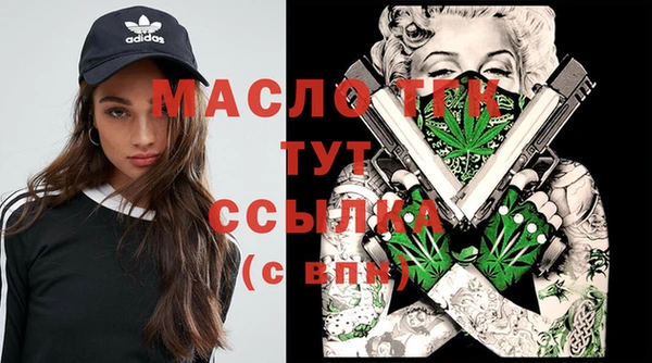 твердый Новодвинск