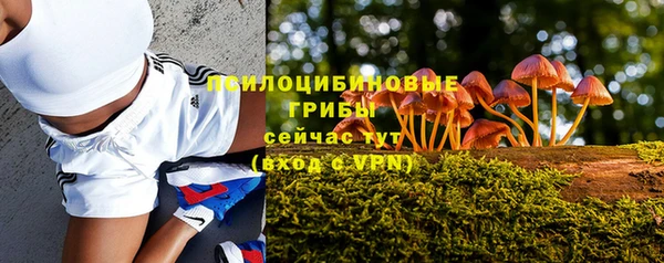 твердый Новодвинск
