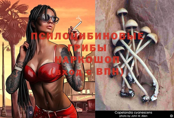 стафф Новокубанск