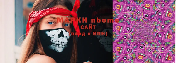 стафф Новокубанск