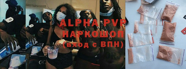 скорость Новозыбков