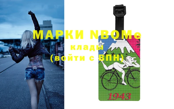 твердый Новодвинск