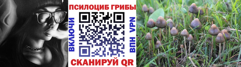 Галлюциногенные грибы ЛСД  Чухлома 